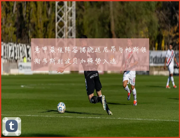 意甲最佳阵容揭晓迈尼昂与帕斯领衔韦斯利波贝加强势入选