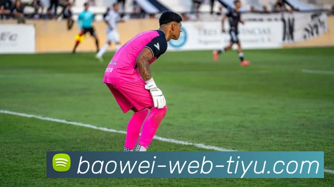 宝威体育APP 封面图